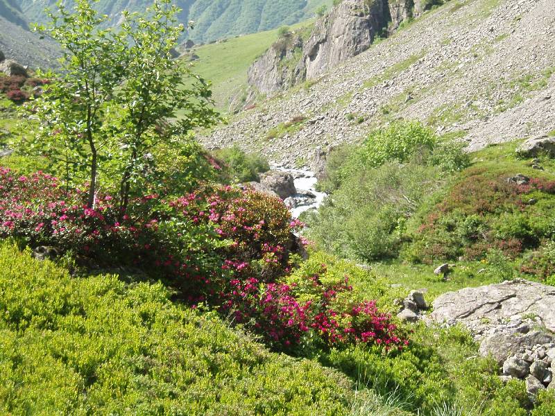 Youri - Ecrins 2005 050 